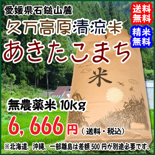 愛媛 無農薬米 27年産【あきたこまち】白米10kg宇和海の幸問屋