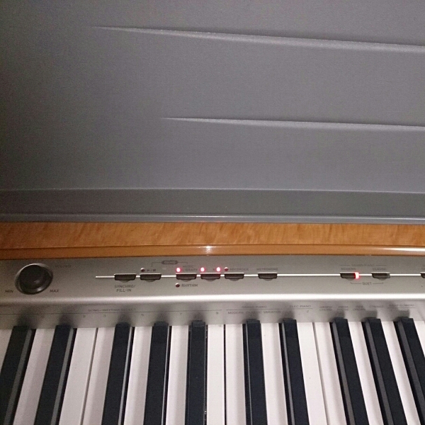 中古 CASIO PX-120 09年製品 動作確認 手渡しOK 【公式通販】