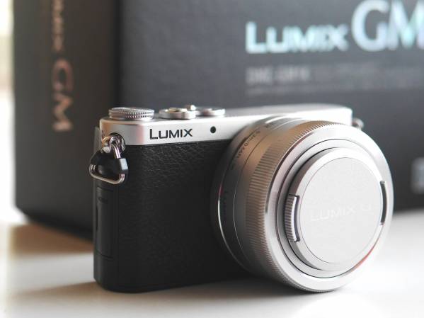 パナソニック（Panasonic）LUMIX DMC-GM1 レンズキット新同品
