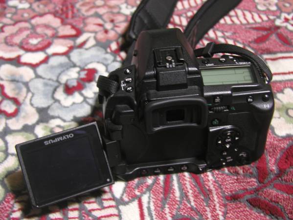 OLYMPUS E-3 ボディ オリンパス - E-P2 オリンパス⁄PEN T3p-7060サイズ