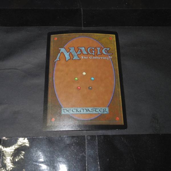 M087[PK]MTG/日本語版/防御の光網/ULG/FOIL 【公式通販】