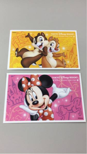 【混雑時利用可能】ディズニーランド＆シー共通パスポートペア