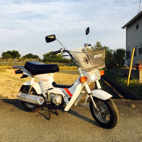 ホンダ シャリー50 CF50 実動 (DAXモンキーエイプ) 書あり 【公式通販】