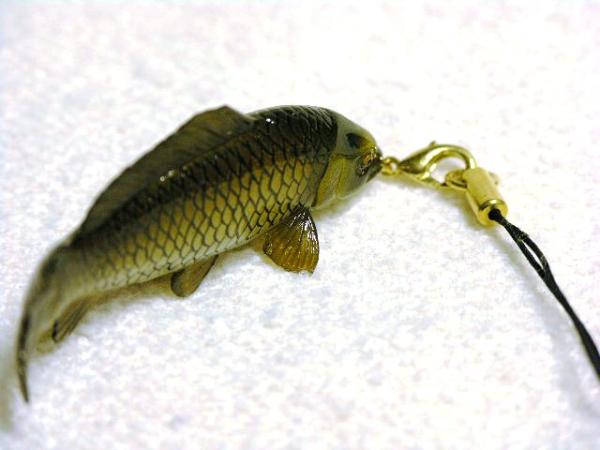 待望黒鯉 野鯉 黒コイ ご自慢携帯ストラップ コイ竿 売買されたオークション情報 Yahooの商品情報をアーカイブ公開 オークファン Aucfan Com 待望黒鯉 野鯉 黒コイ ご自慢携帯ストラップ コイ竿 売買されたオークション情報 Yahooの商品情報をアーカイブ公開 オークファン Aucfan Com