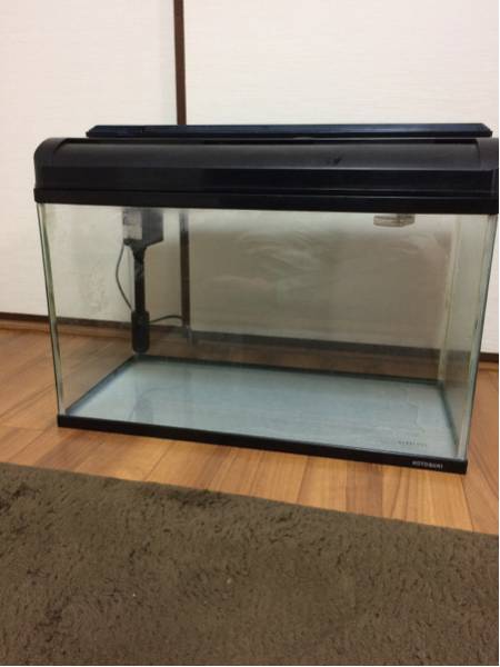 60cm水槽 コトブキ ニッソー セット