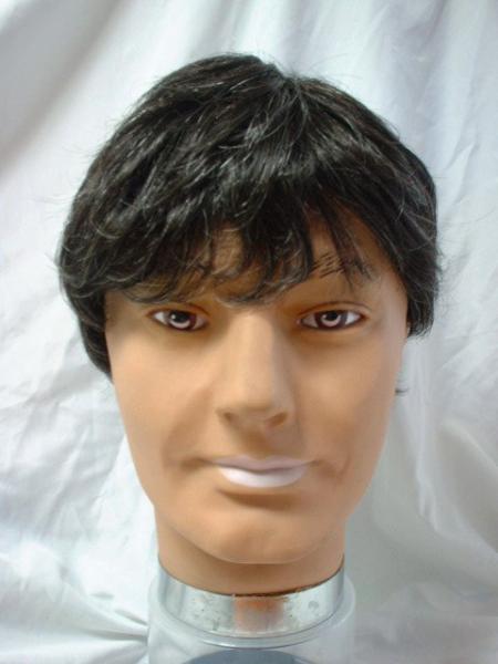 ミドルサイズ◆短髪少しだけ白髪の入ったウィッグ0525◆国内送無