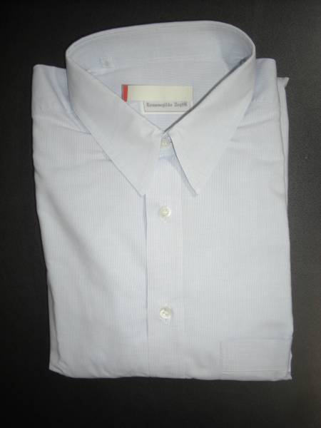 Ermenegildo Zegna☆ゼニア☆大きなドレスシャツ　43　17！