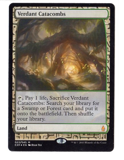 MTG EXP Foil 新緑の地下墓地 MTG EXP Foil 新緑の地下墓地