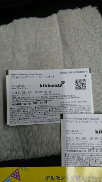 ☆送料無料1月6日キッコーマンディズニーシー貸切ペアチケット_2