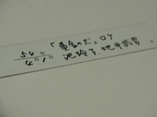 g313994449.2