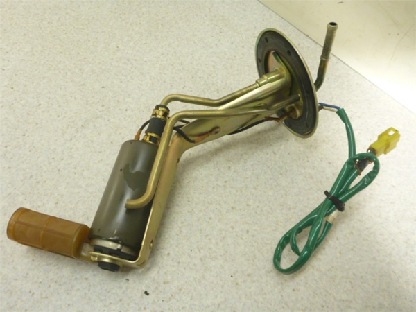 m229305644.1