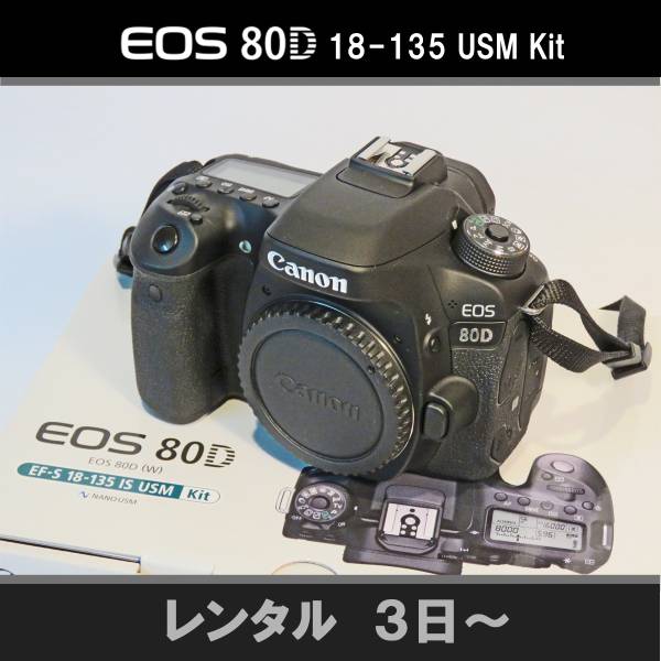 s515336263.2