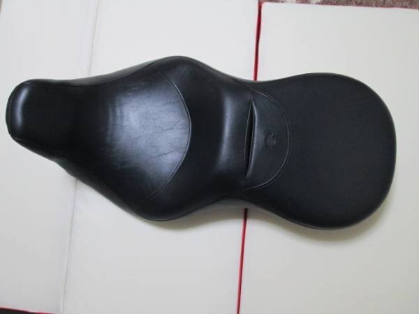 m231897273.1
