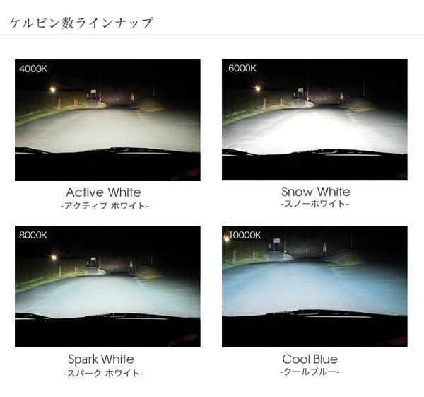 g206117245.3