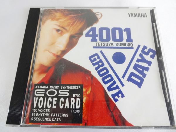 貴重 Yamaha EOS B700 VOICE CARD TK500 小室哲哉 VOICE CARD TK500