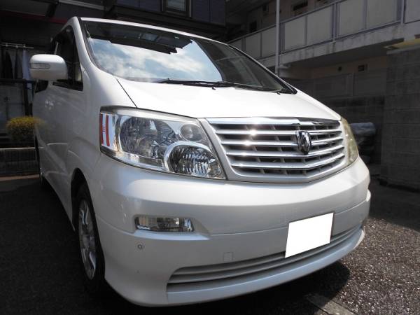 t506719084.3