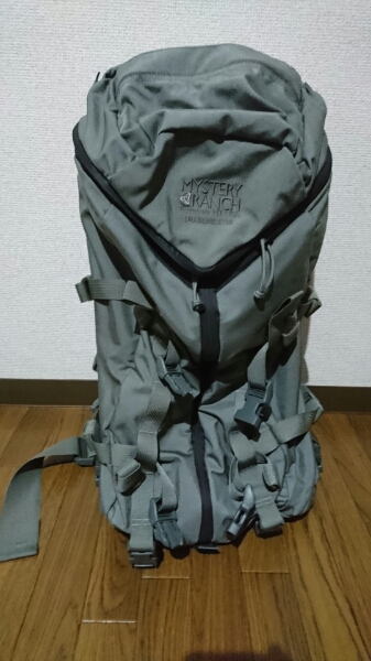 u138298707.1