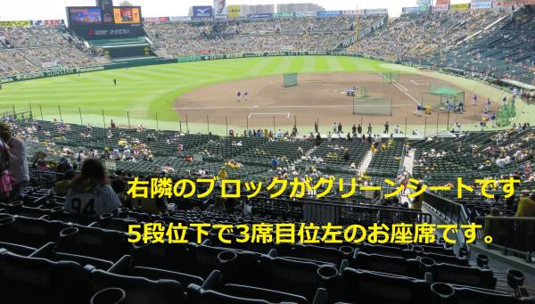 g233144046.2