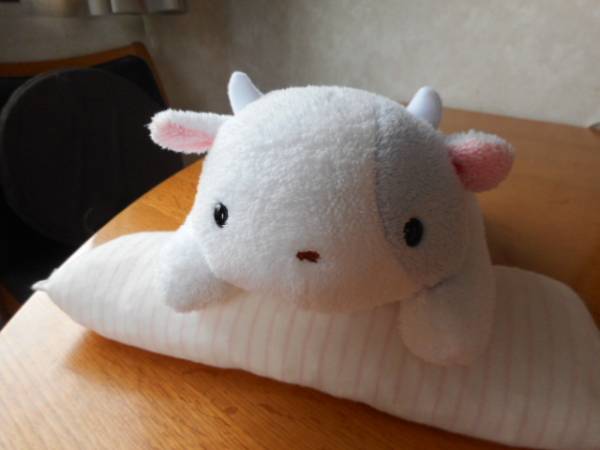 ぬくまろシリーズ うしのぬいぐるみ みにサイズ 抱きまくら フリッカ まつもと ウシ 売買されたオークション情報 Yahooの商品情報をアーカイブ公開 オークファン Aucfan Com