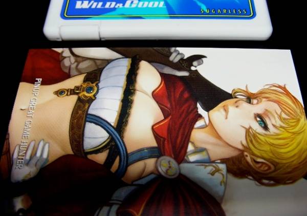 プラ製 KINGDOM DEATH PIN-UP グレートゲームハンター JULIA ジュリア キングダムデス イラストカード付 送料込