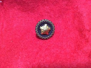 NTT 日本電信電話株式会社 社員記章 ピンバッチ NTT 日本電信電話株式