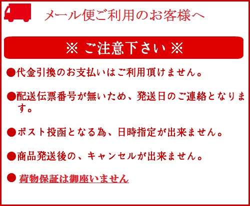 昌栄（TooL） ネットキーパー（Net 昌栄 ネットキーパー チタンカラー　即決 新品 Keeper） シーバスルアー専門店