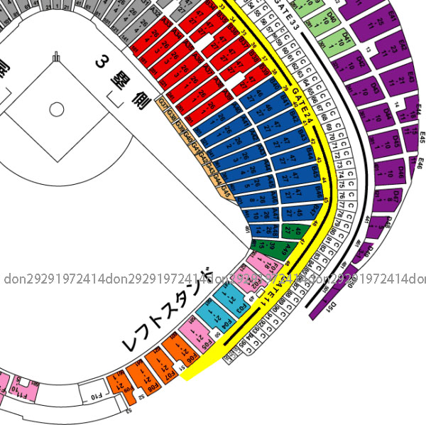 東京ドーム 巨人 vs ヤクルト 8月11日 S席 公式戦 最前列通路側より4