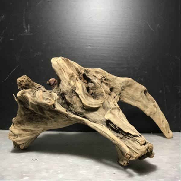 ☆煮沸消毒済み☆流木 根っこ