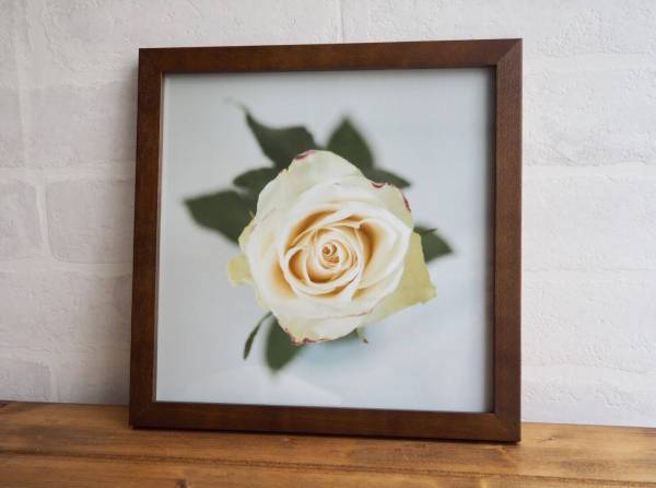 [チャリティ] 写真家 石野千尋さん撮影 写真「Bloom」② 撮り下ろし 額装サイン入り rfp1102_2