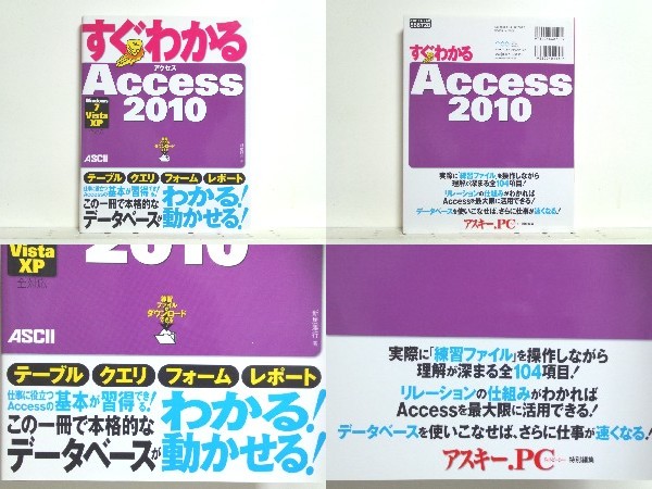 ★すぐわかる Access 2010 /アクセス /クエリ /レポート /フォーム /データベース /送料安/切手可/領収書可_1