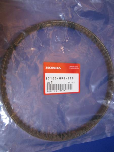t502585491.1
