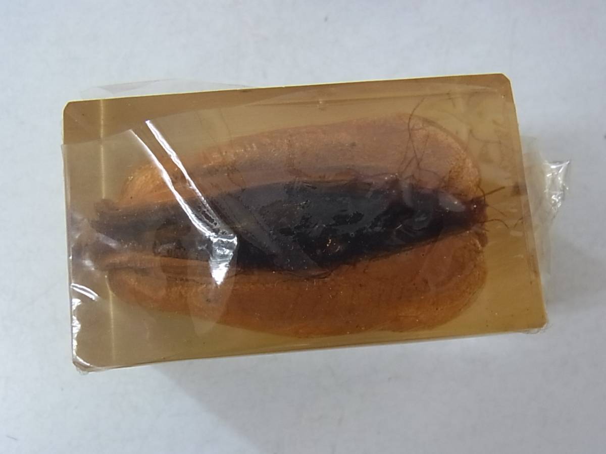 h86z 0916h 0002 鳴門名産 清少納言の秘物 ニタリ貝 い貝 標本 箱付き その他 売買されたオークション情報 Yahooの商品情報をアーカイブ公開 オークファン Aucfan Com