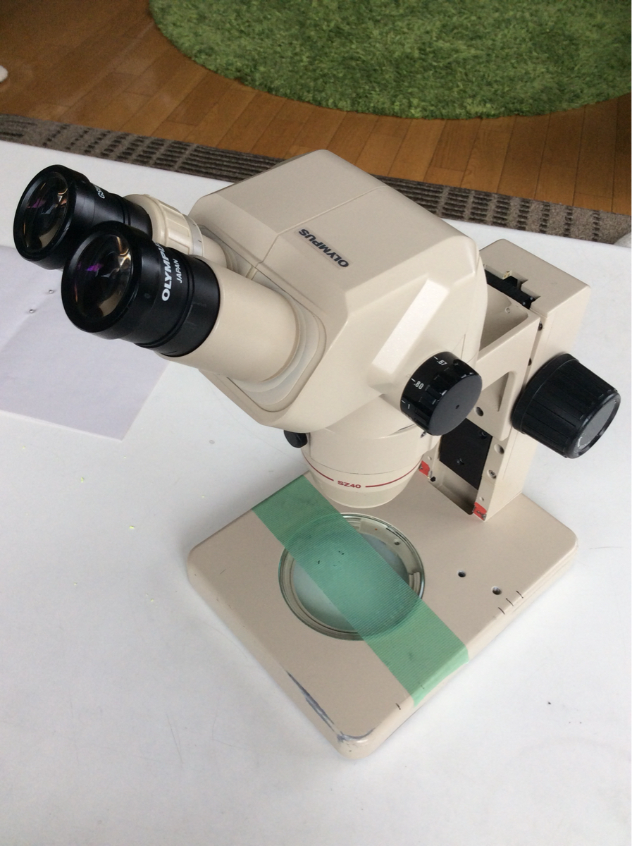 n217849220.3