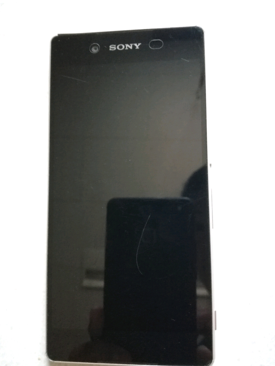 x483584295.2
