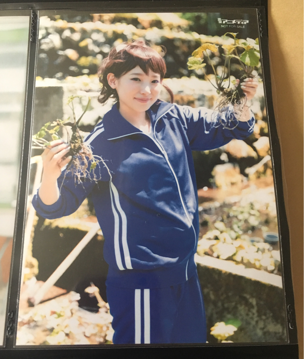 南條愛乃 DVD ジョルメディアファンタジー! アニメガ・文教堂 購入特典 ブロマイド 生写真