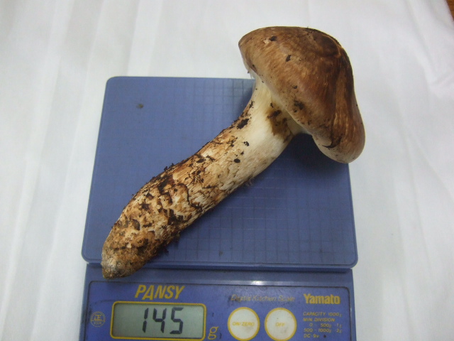 c613970718.3