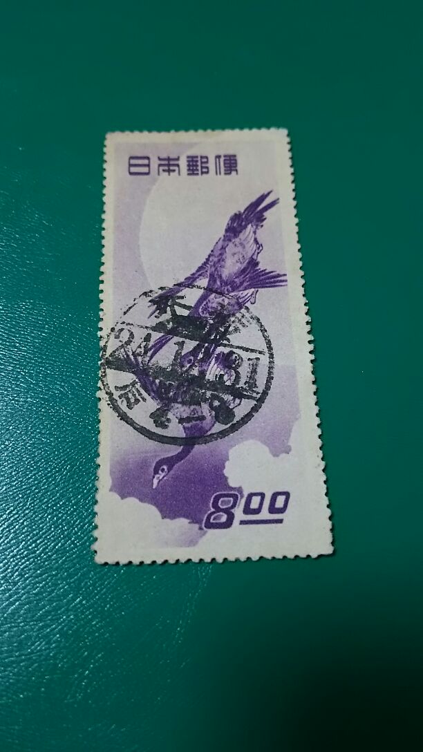 t546769756.2