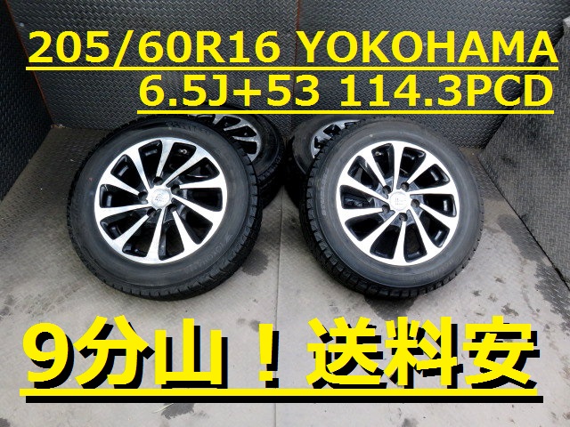 g238702590.1