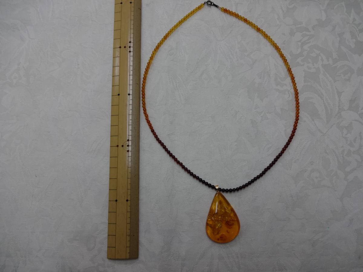 g241047059.2