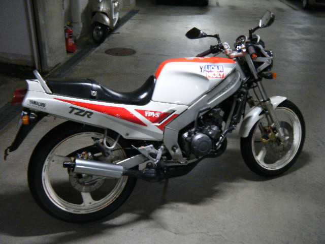 c629659318.4