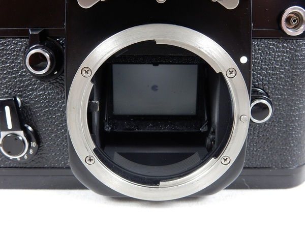 g246525161.2