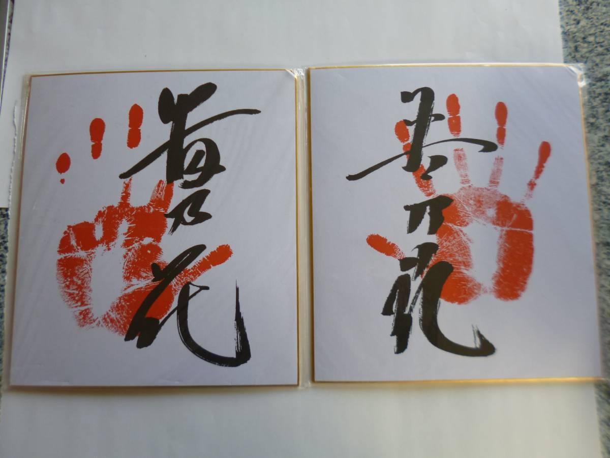 7081 大相撲 若乃花 貴乃花 手形サイン色紙2枚 印刷 最終出品(サイン 