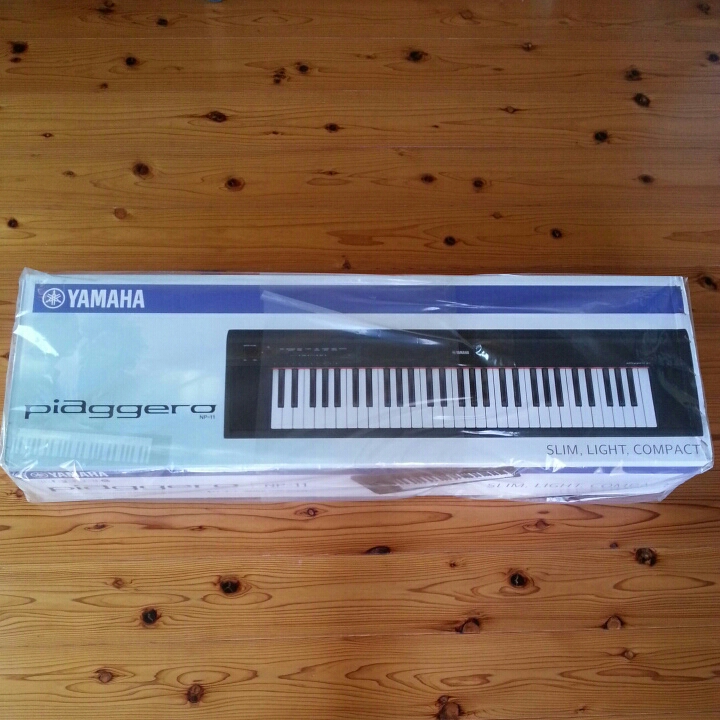 CASIO カシオ☆電子ピアノ 61標準鍵盤 5音色 CPS-120 デジタルピアノ