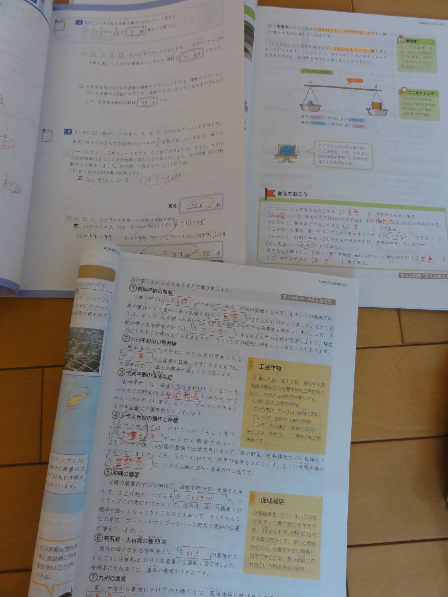 解答解説付き　エブリスタディ　アドバンスト　小6 算数　理科　社会 Z会 エブリスタディ 小6 算数 中学受験 アドバンスト 小学6年 解答解説