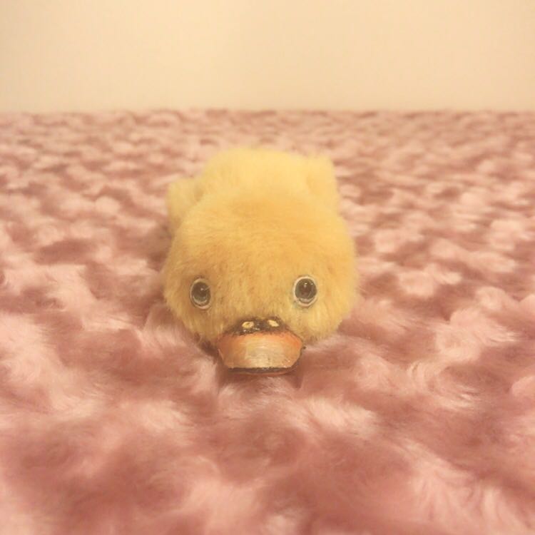 まんまるお目目のベイビーアヒル アーティストベア 海外作家 ハンドメイド 渡辺利絵さん Bearberry ぺたんこアヒル