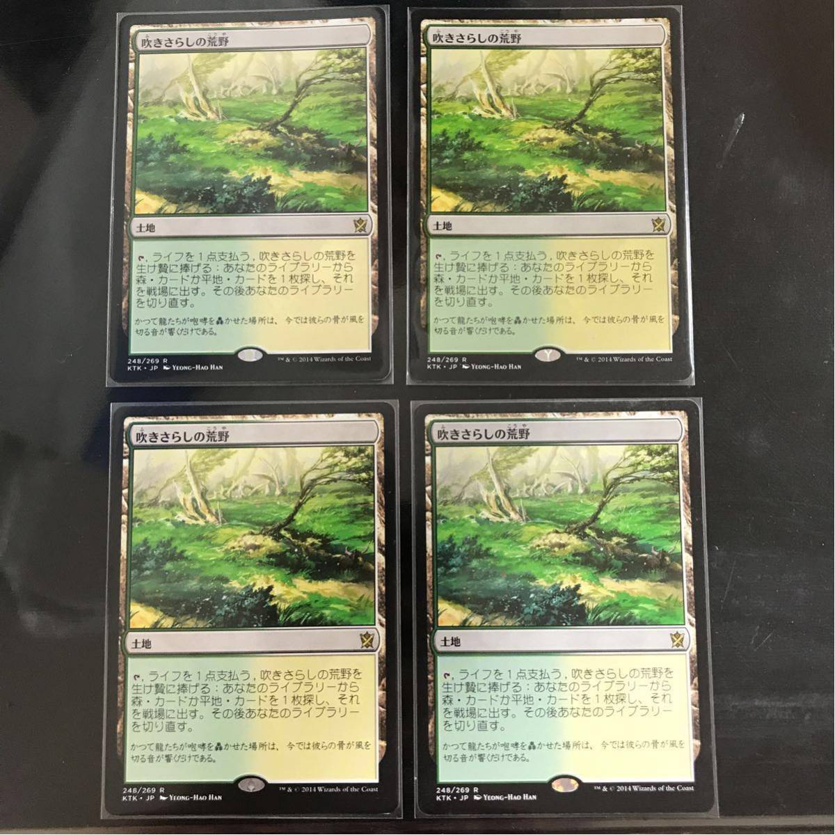 MTG 吹きさらしの荒野 土地R Heath 4枚セット 日本語 日本 公式通販 日本