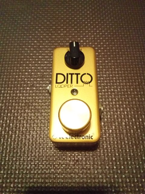 TC electronic DITTO looper Limited-Edition ルーパー 5000台限定