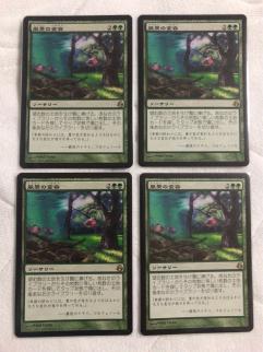 MTG 風景の変容 日本語版 4枚セット 【公式通販】