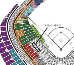 開幕カード第2戦】3/31 (土) 通路近 巨人 vs 阪神タイガース 指定席A 3