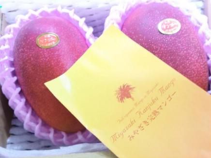 【Good】宮崎産『宮崎完熟マンゴー』 特大2玉1kg以上 ご予約